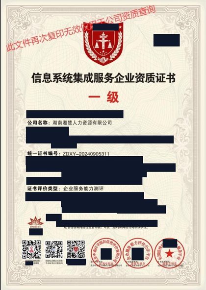 信息系统集成服务企业